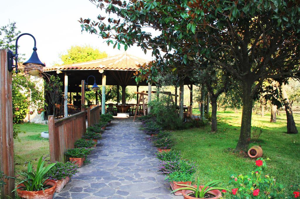 Iscairia Country House Ascea Exterior foto